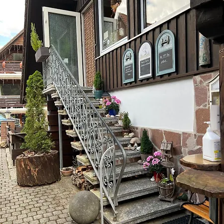 Lejlighed Gemuetliche-ferienwohnung-nr-2-im-harz-fuer-max-3-personen