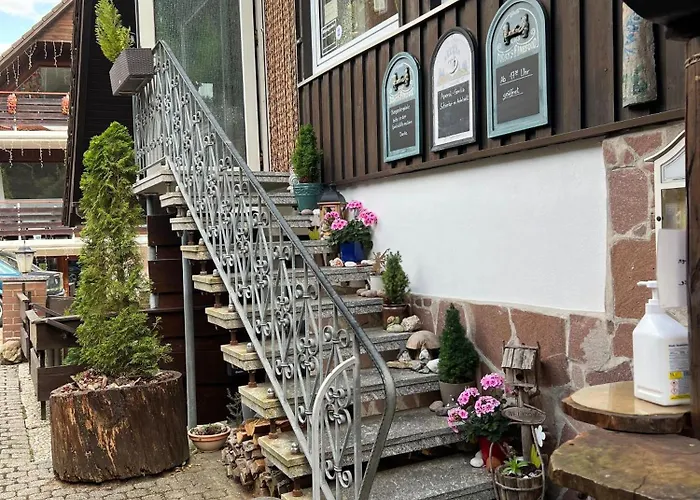 Apartament Gemuetliche-ferienwohnung-nr-2-im-harz-fuer-max-3-personen