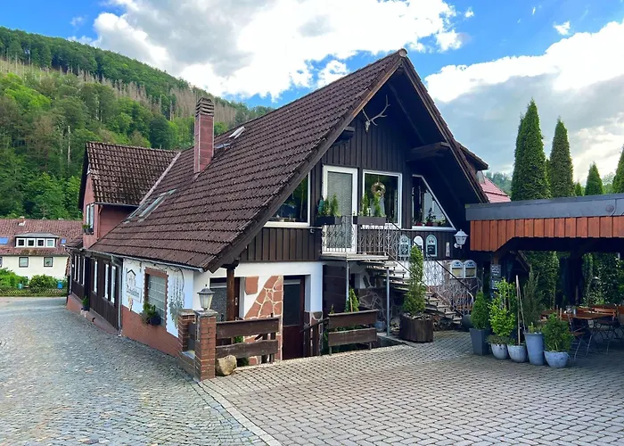 Gemuetliche-ferienwohnung-nr-2-im-harz-fuer-max-3-personen